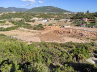 Didimde Satılık Arsa 600 m² İmarlı Villa Arsası