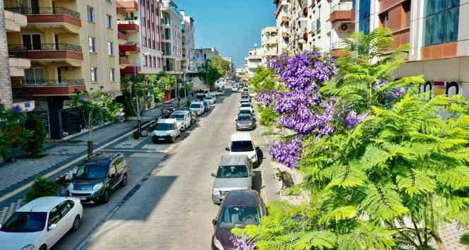 Başkan Atabay; 