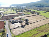 Milas Kazıklı Koyu Manzaralı Satılık Zeytinlik 