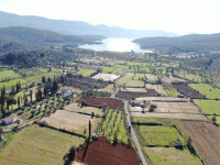 Muğla Milas Kazıklı Satılık Zeytinli Tarla 9124 m²