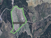 Aydın Karacasu Işıklar’da Satılık Zeytinlik 36 Dönüm