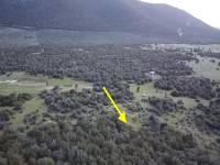 Didim Akyeniköy Balova'da Satılık İmarlı Villa Arsası